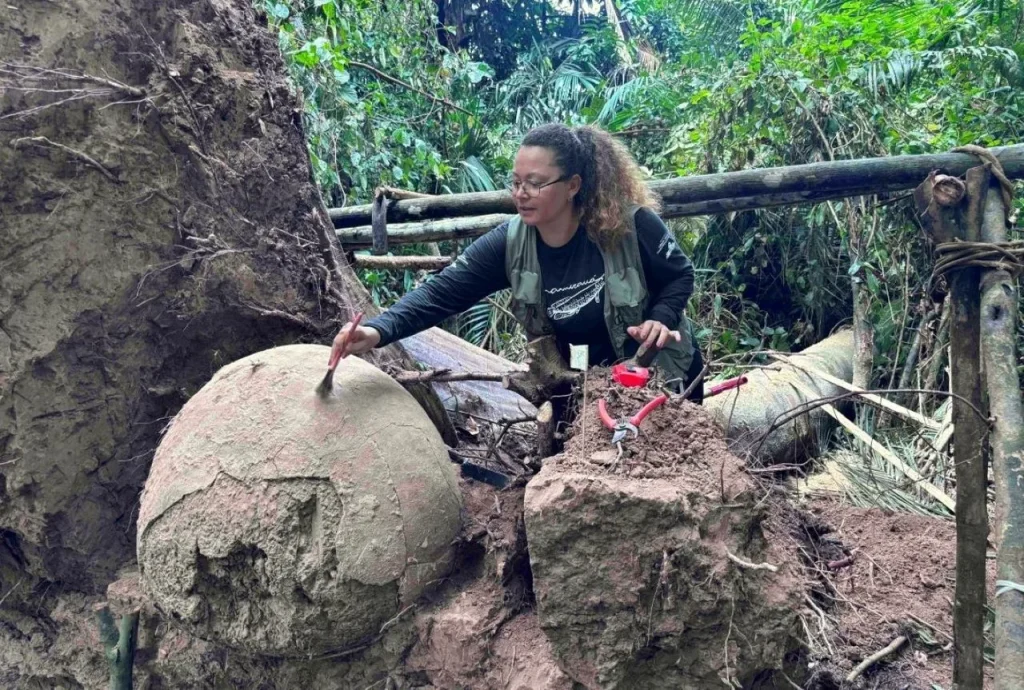 Tajemnice Amazonii: archeolodzy odkryli 7 zagadkowych sfer na sztucznej wyspie